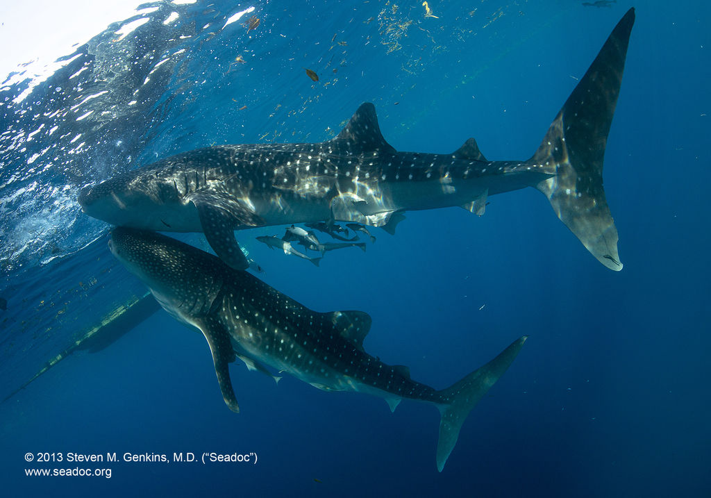 a6209864-a74a-4f70-aacc-72ffc9ec652d