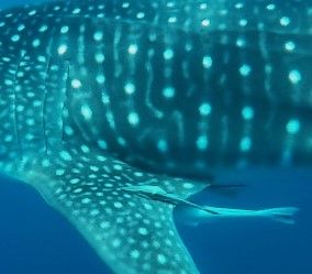 2d333152-e224-4acc-a43a-49cc3bb9357f