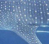 2d333152-e224-4acc-a43a-49cc3bb9357f