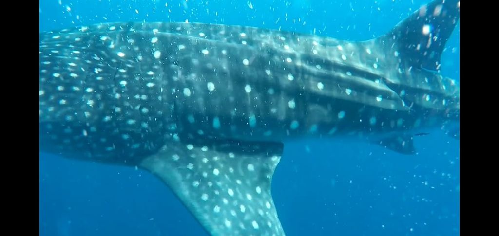 93cd03bf-fe73-4fba-bb62-fc5d3bb32d93