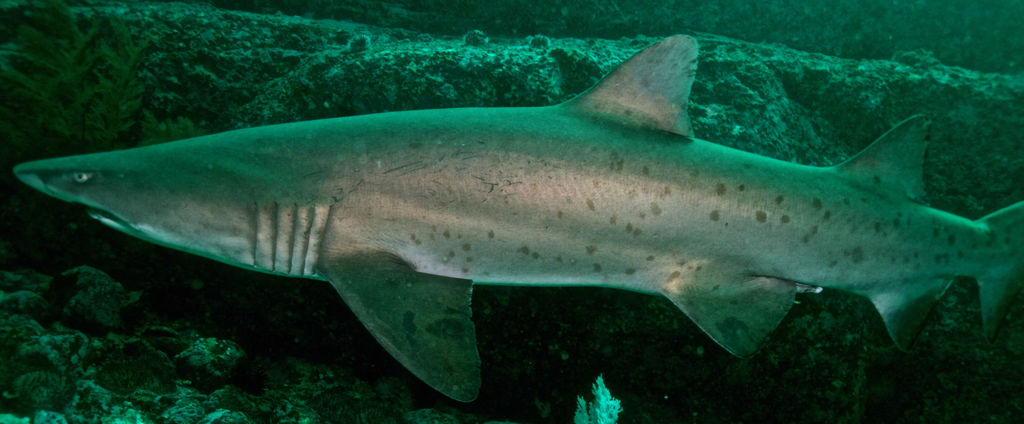 77d948d3-a9f5-4f45-a58f-833a134c8137