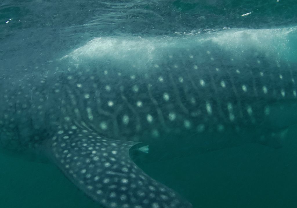 60720c19-5114-45ea-9e29-3cb9ae8f09cd