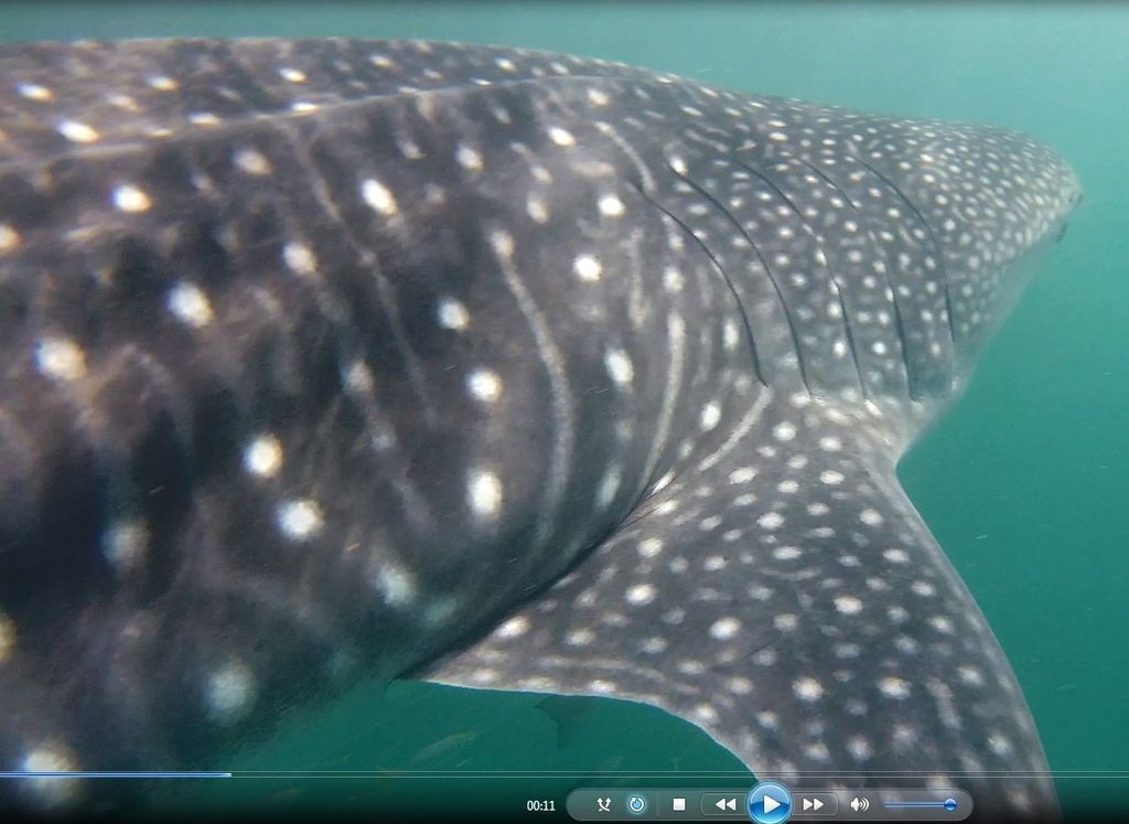 6de99128-dd31-4962-8ef5-13e53034e79f