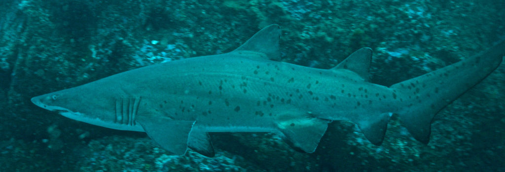 c460a235-f8ef-4b3a-b6ae-309a767e7244