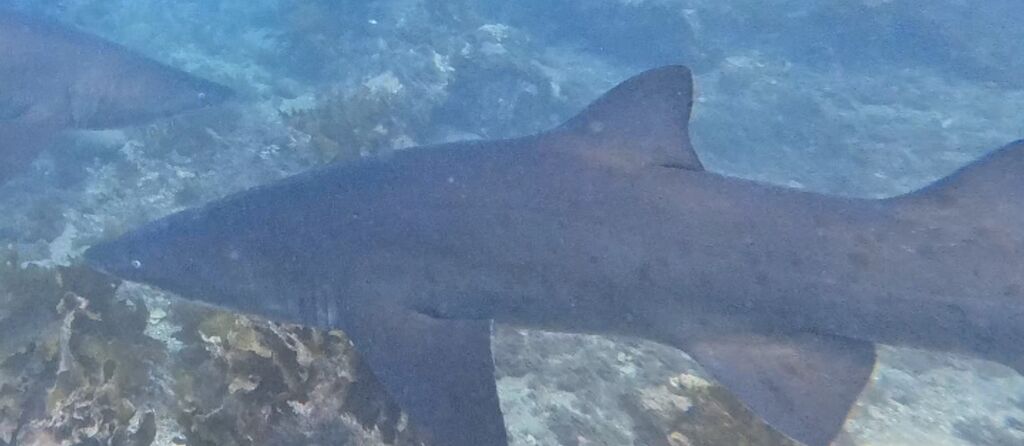 1a6be892-b5e7-4c98-b9ce-8b2f655b8336