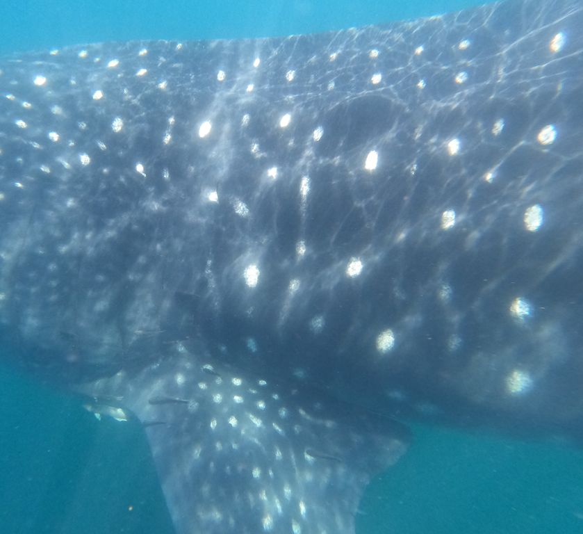 02cc6274-7c4c-40ce-9bde-8a9072715ac1