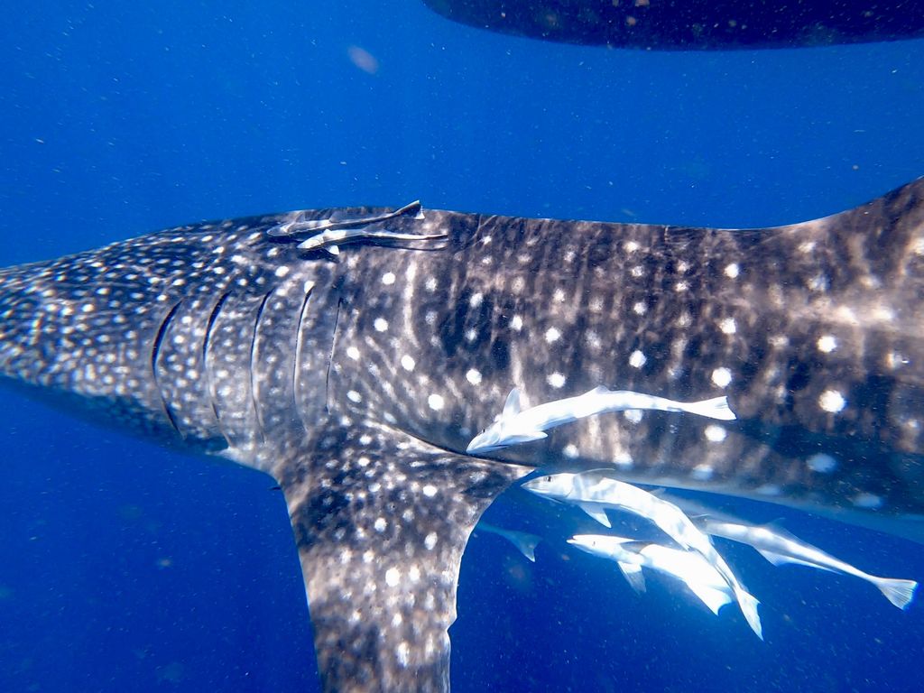 291b9b57-5d62-4eb0-bd1e-23edcf22b587