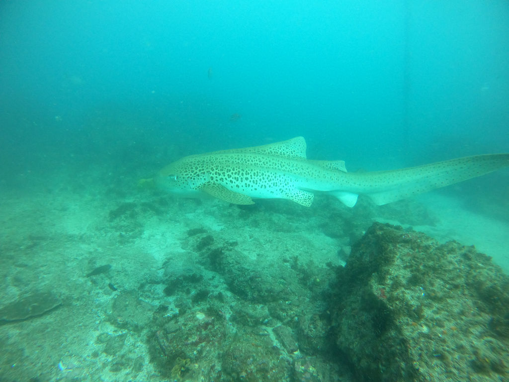 14ae8c53-5463-44e0-b19c-18c470b0dc3f