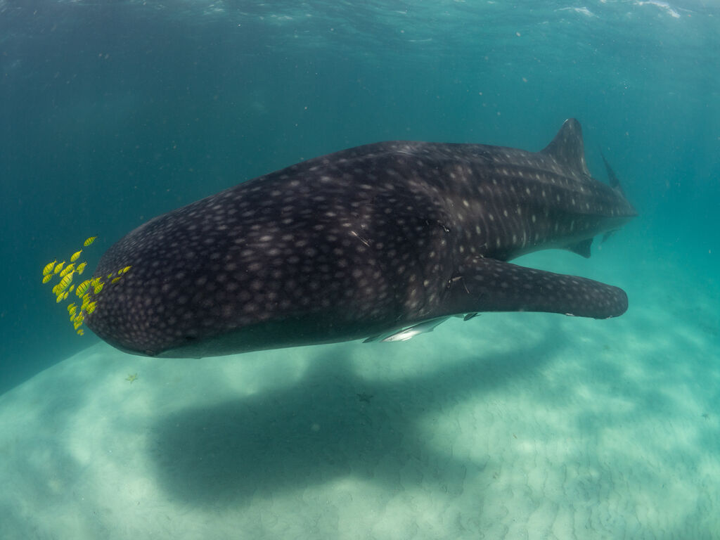 11cdf02d-a89d-4c72-b655-b241bf27a35e