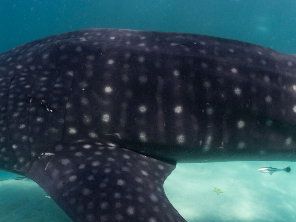 11cdf02d-a89d-4c72-b655-b241bf27a35e