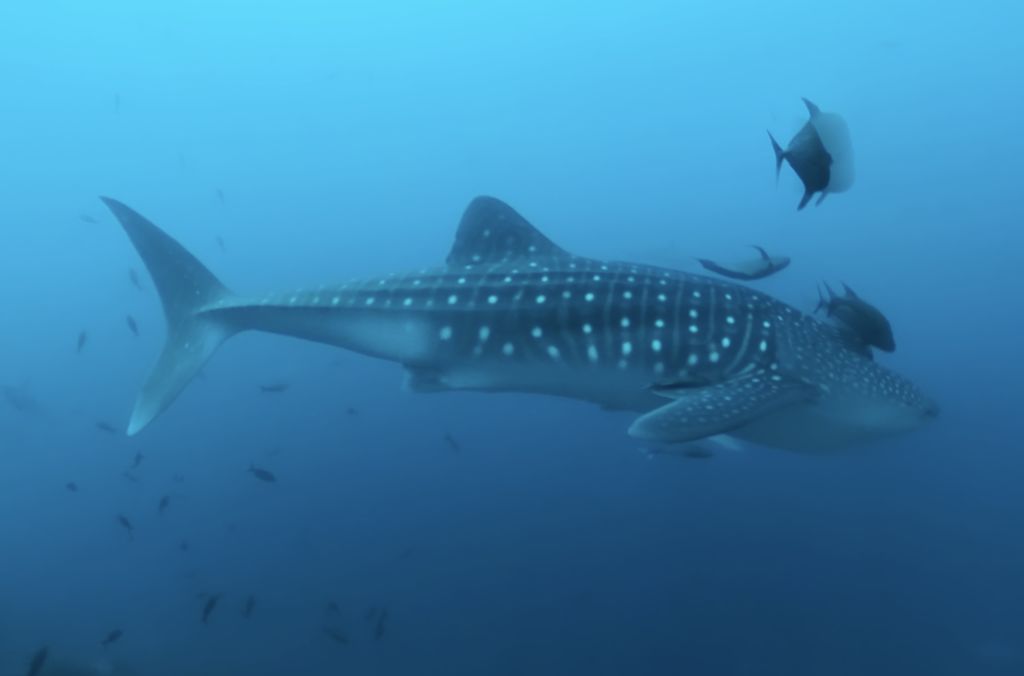 404c688f-5dd3-47d3-be87-c1f0f80ccb31