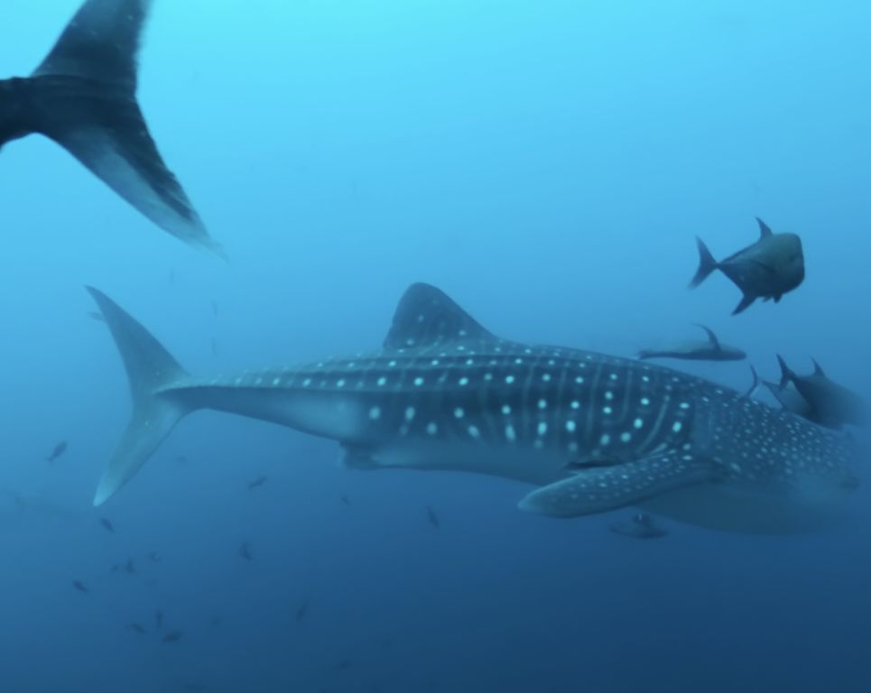 404c688f-5dd3-47d3-be87-c1f0f80ccb31