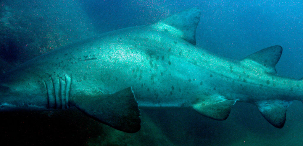 f630361e-526d-4098-8608-306a5a7a9d54