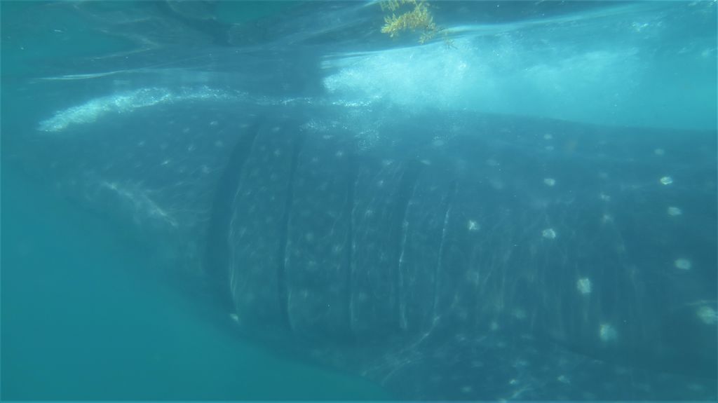 9286eb4e-9233-4c3e-849f-17e5b8243cd5