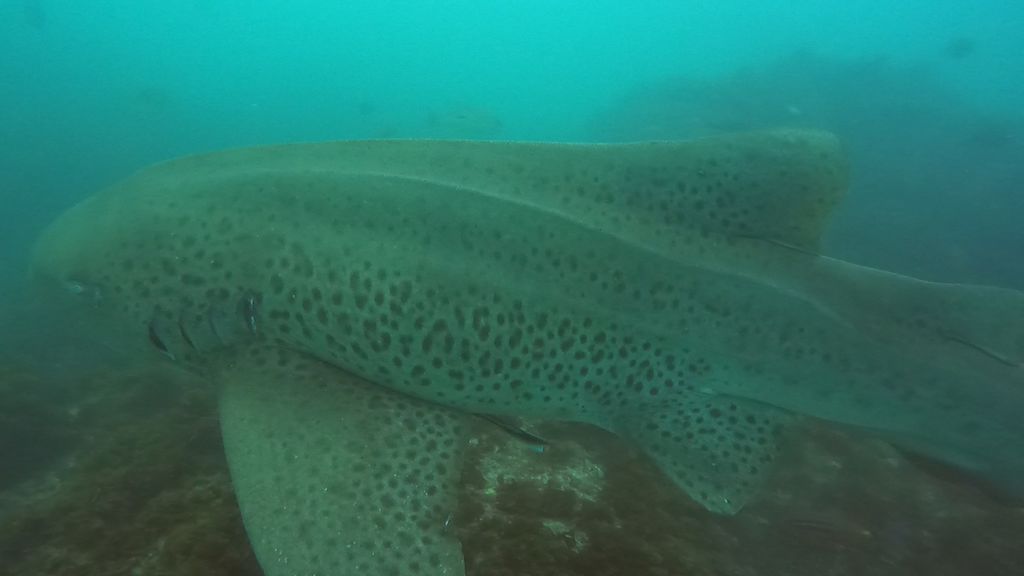 f4ccf2d3-5679-4d8c-8022-5897bfecbd1b