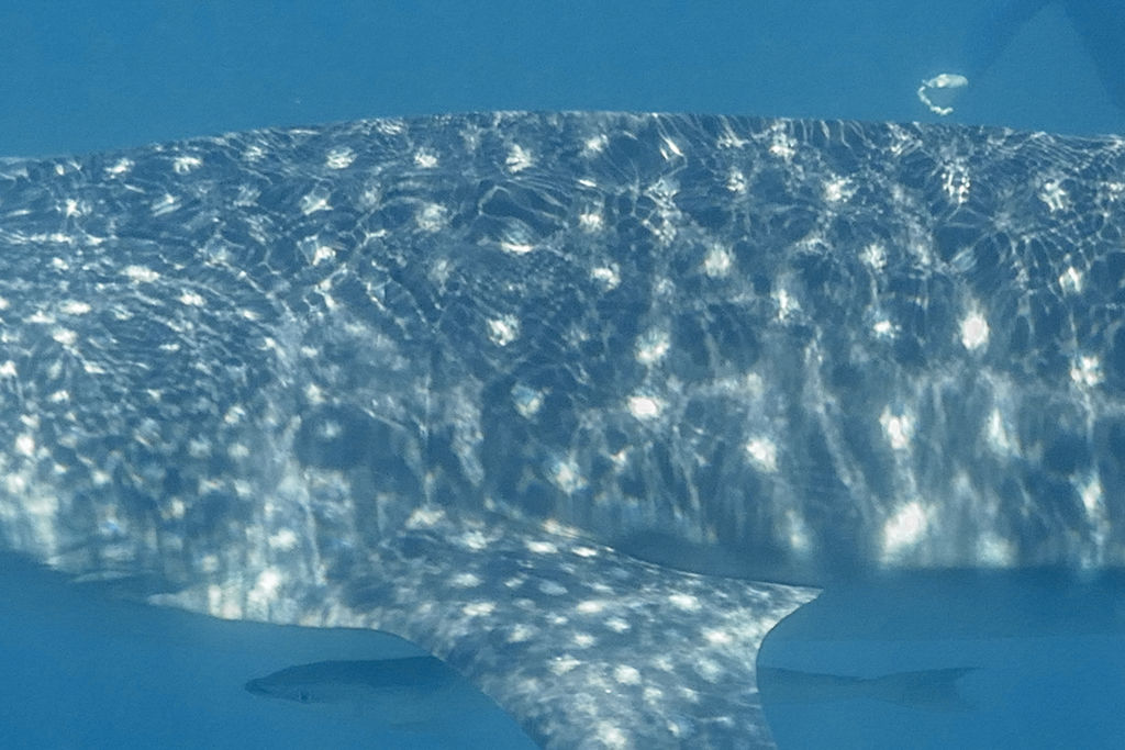 2d870c83-b321-4505-ad02-479b5b12bfa0