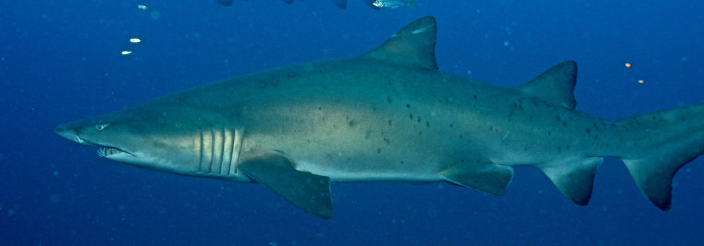 2fd791c0-9c26-44e3-b6cb-3ec02d51b928