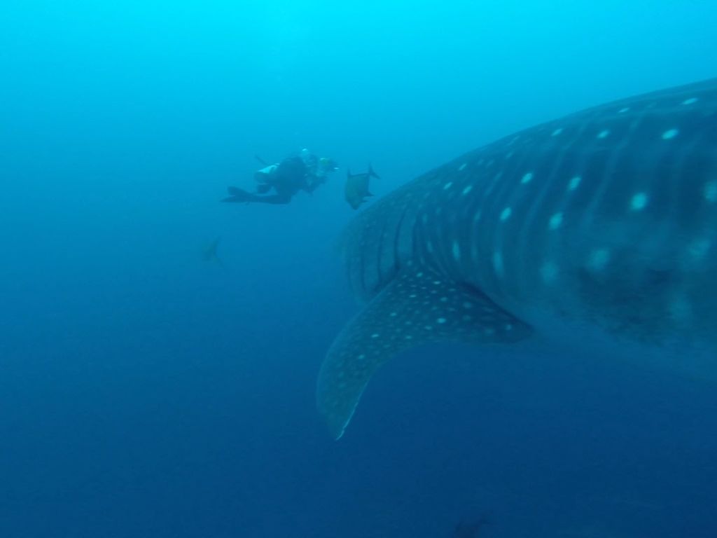 10946504-c7d8-4fa9-a760-facc8aa34885