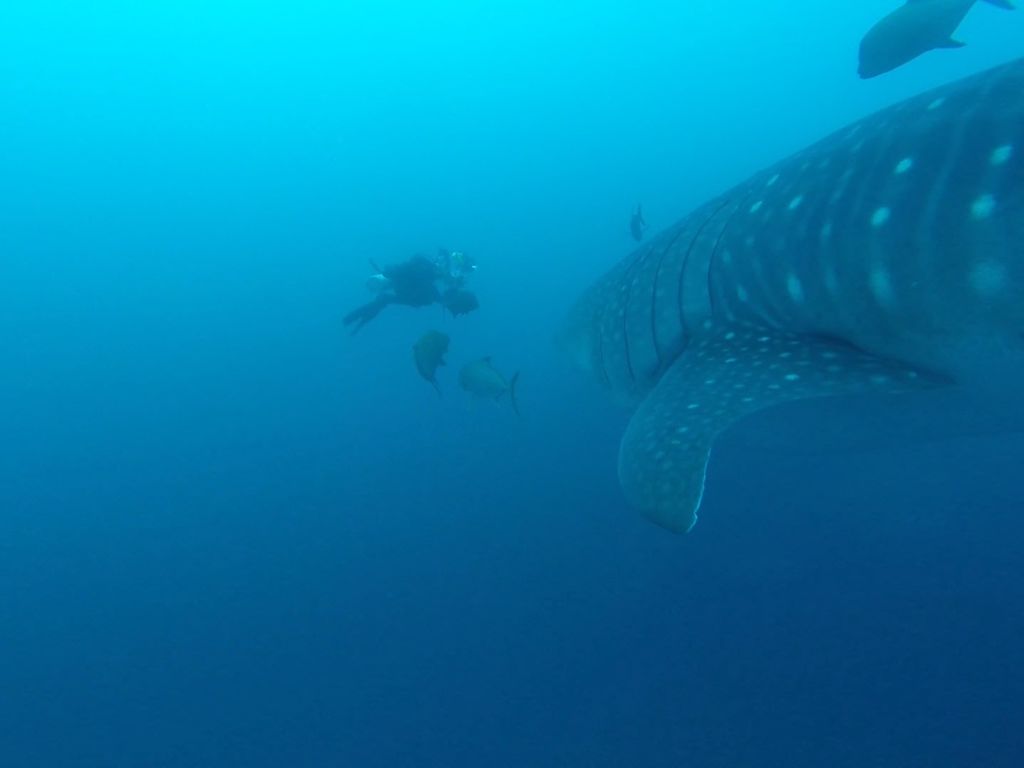 10946504-c7d8-4fa9-a760-facc8aa34885