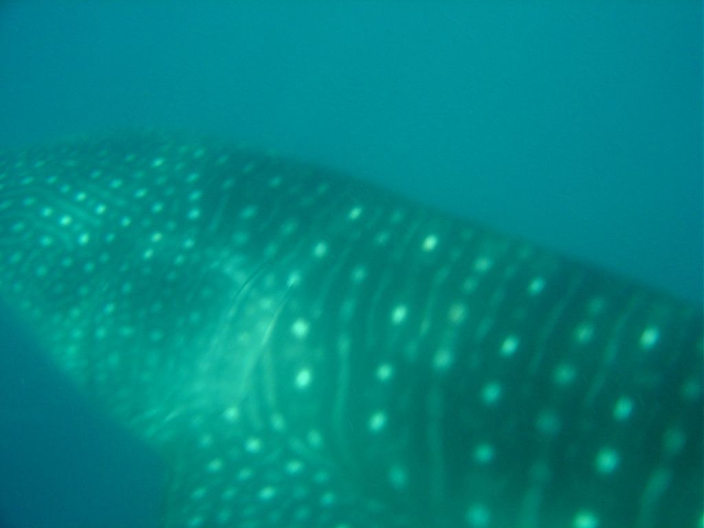 04e11475-8560-4967-bcfa-bcaec9acbf3d