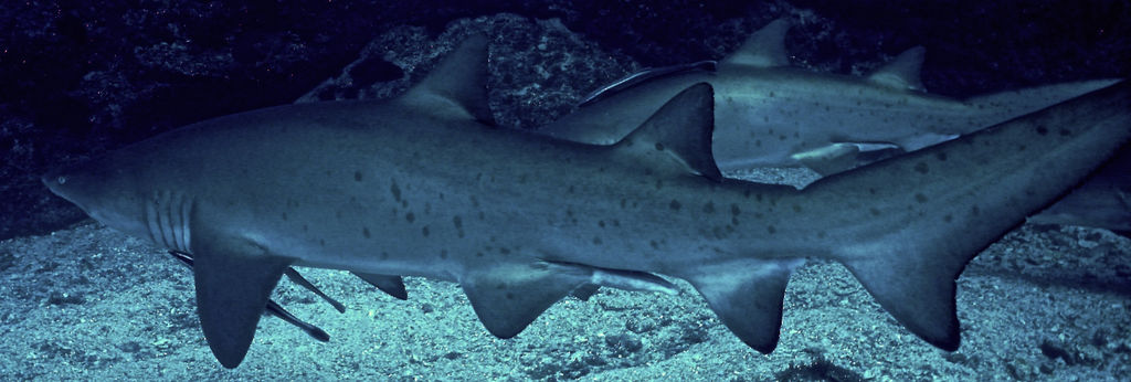 9afce2dc-b837-4b90-b535-73a15740cef6