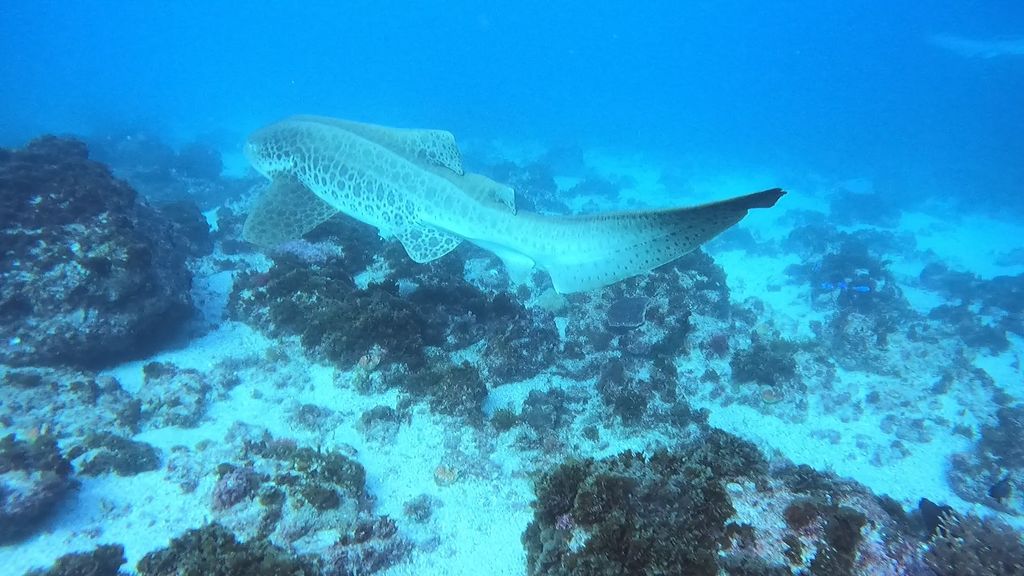 f1e55fd3-efa8-48df-a4e7-2c6819498473