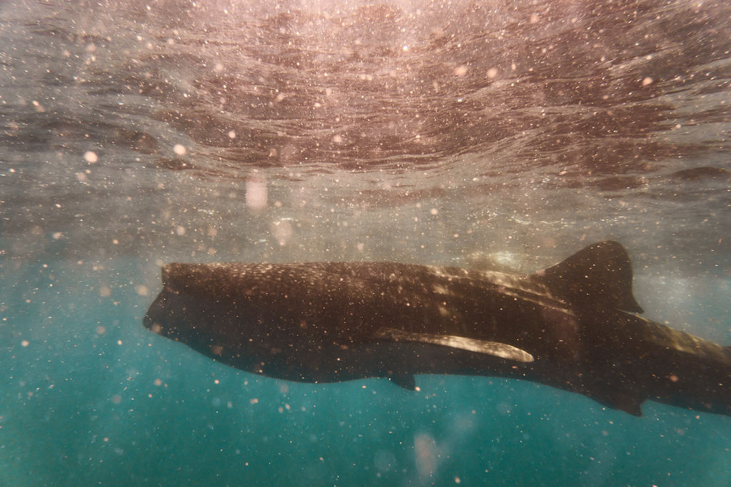 636642b4-fa0f-4a91-b2fc-2108de598870