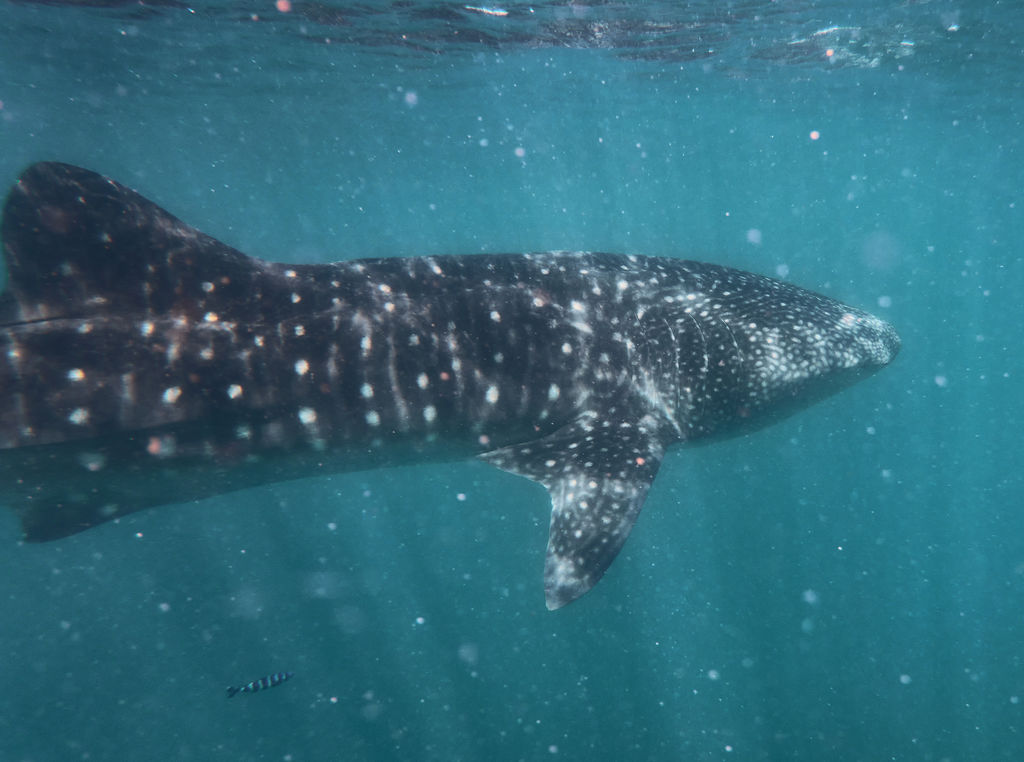 636642b4-fa0f-4a91-b2fc-2108de598870