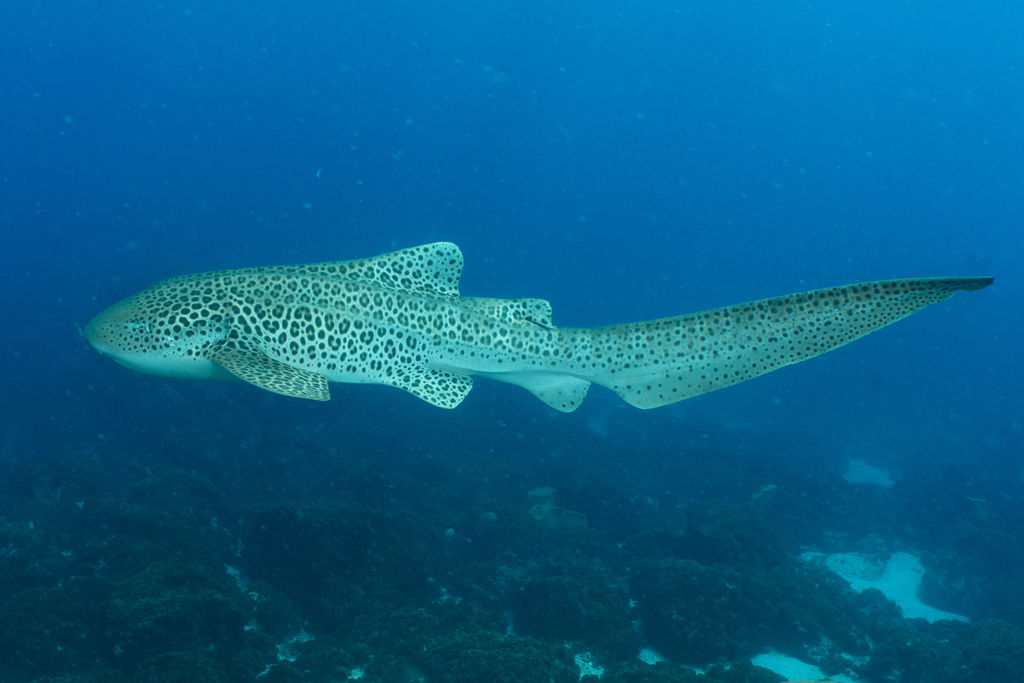 d82a9b01-3a0b-4d5b-a223-6a68769535ec