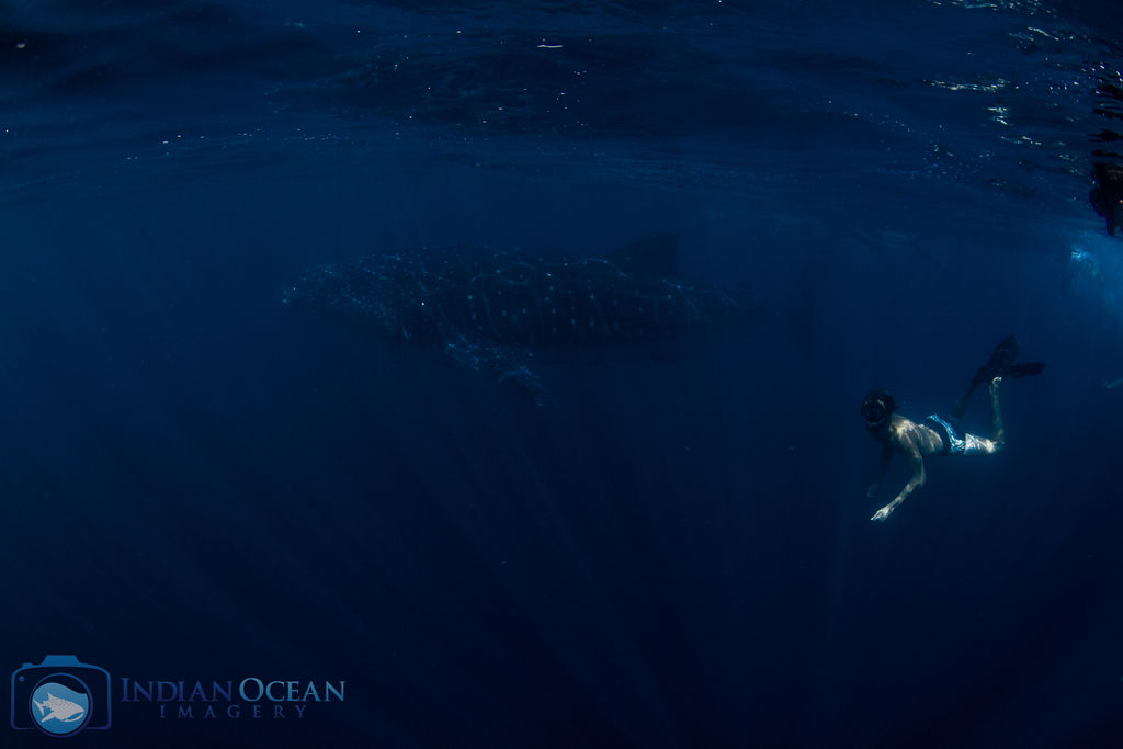 5a5c2315-65bd-4a36-8716-b17807cb4f9f