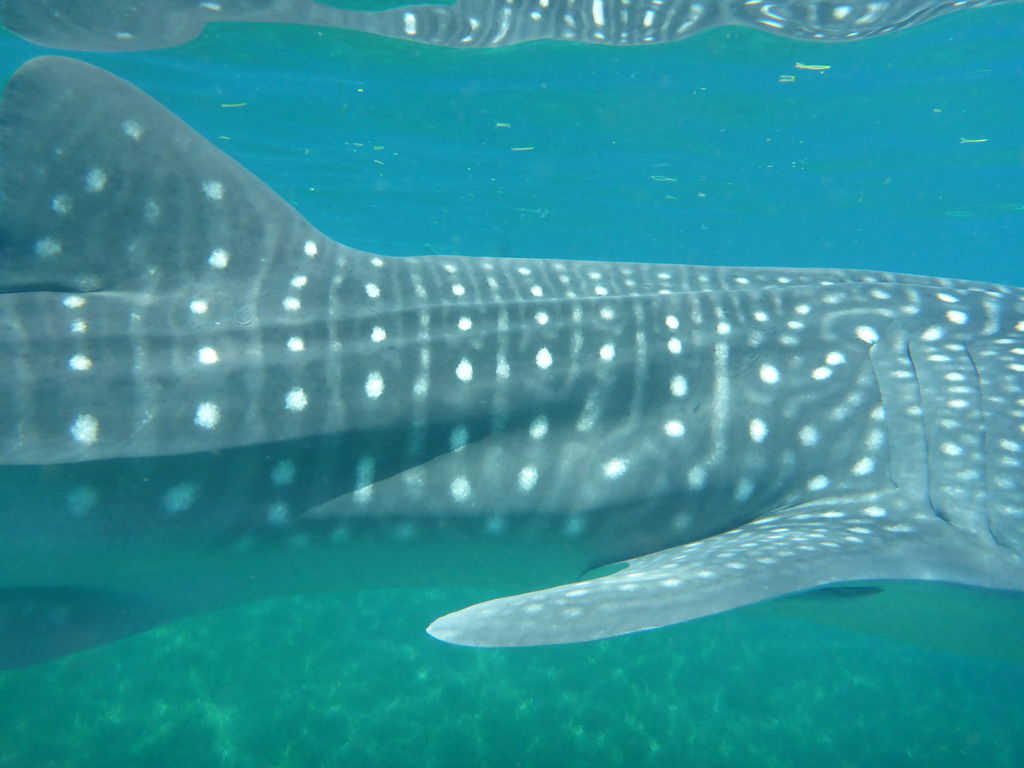 f114a0bb-6923-4e92-abbb-5aad7eaea357