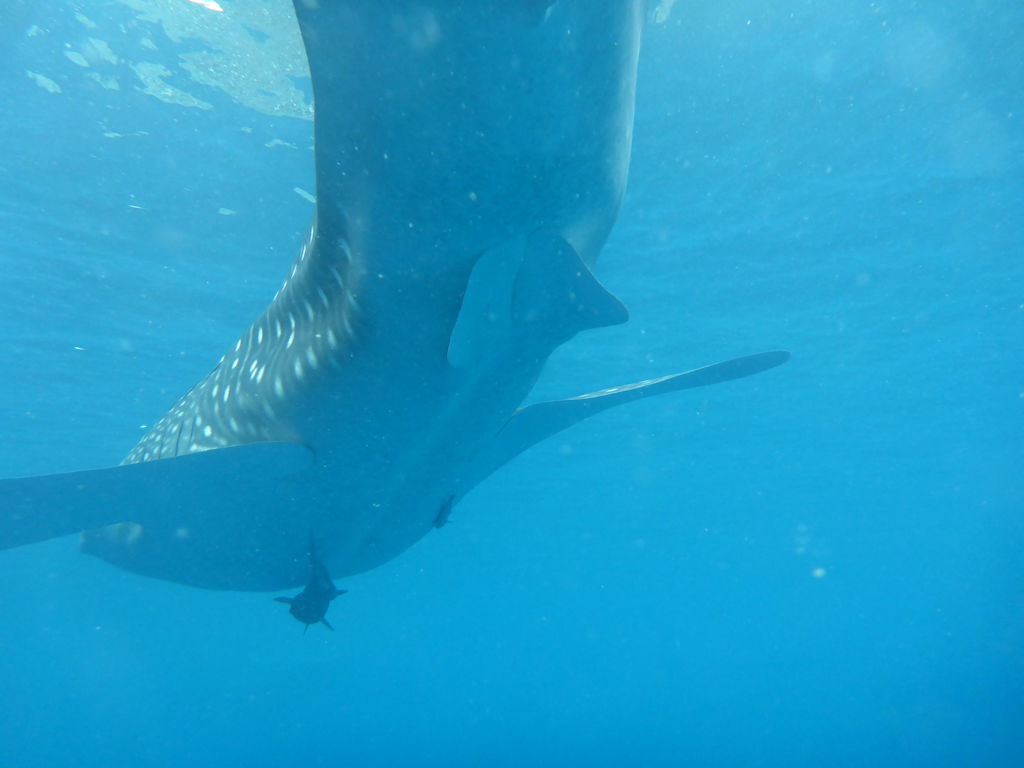 f114a0bb-6923-4e92-abbb-5aad7eaea357