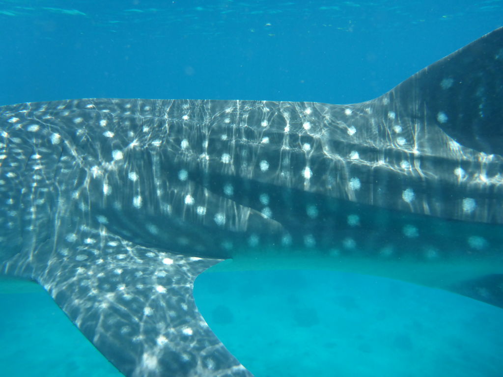 f114a0bb-6923-4e92-abbb-5aad7eaea357