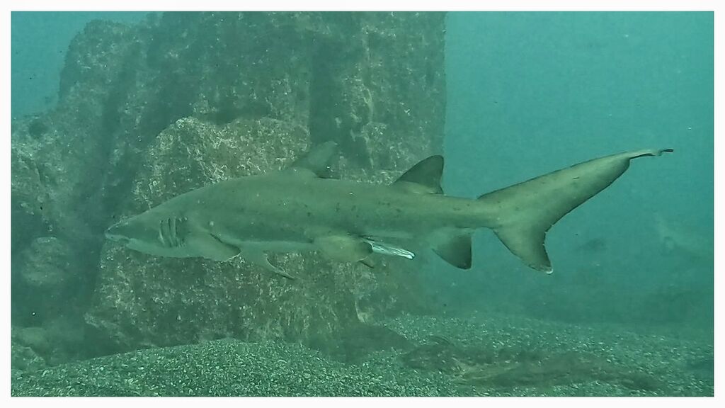 8ac55cd9-2477-41ba-bd10-320a83500efa