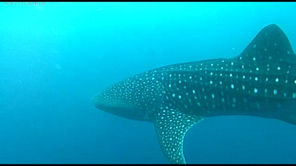 e017f417-6a7c-437a-873e-01b7e746d7bb