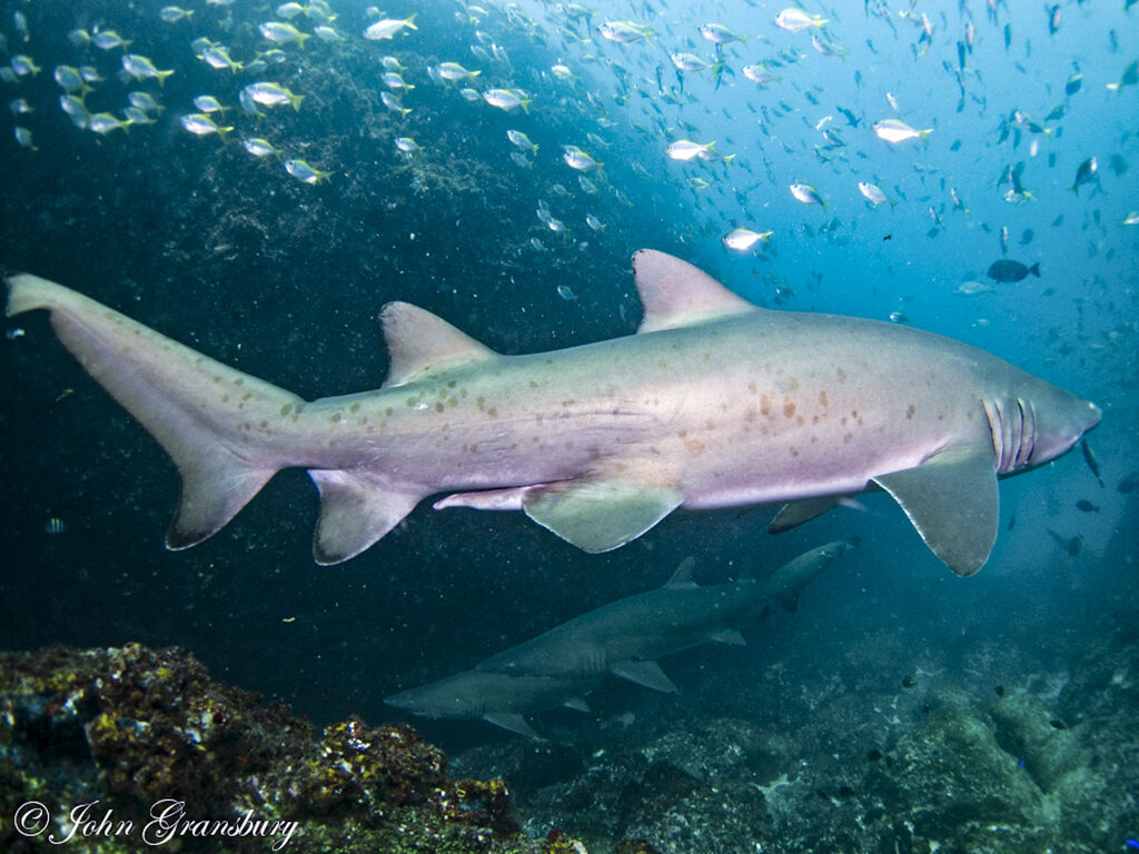 b8a7fa58-945f-4e0d-8795-9842d97da59a