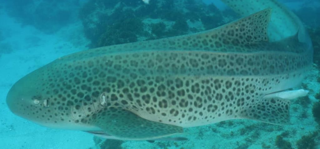 47e017f8-3f03-470b-a81c-cb28c6f390e8