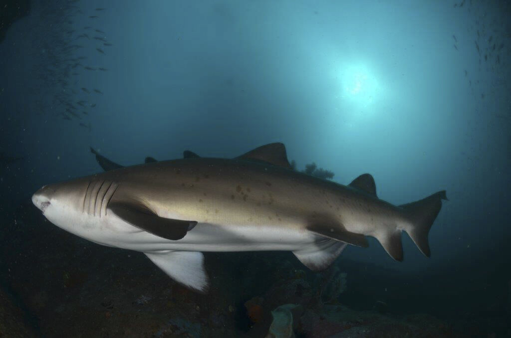 6703b134-162f-4545-95e3-087dab62a75b