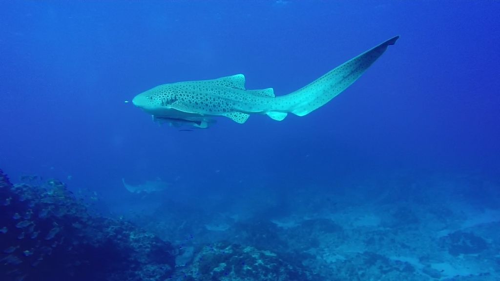 f09d9870-7c79-4cf2-b71c-9cd222186569