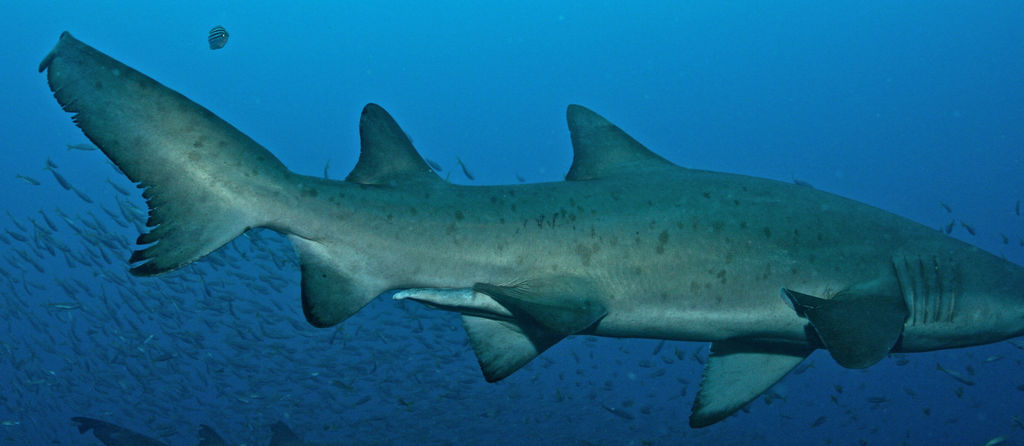 6488eb1f-8bc6-4aad-94ae-2e7460719ef0