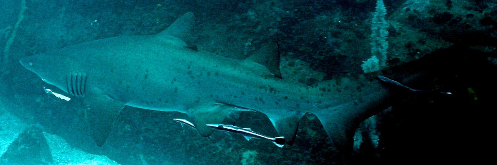 ebc4b8c1-0f2e-4621-8536-fb46e234937b