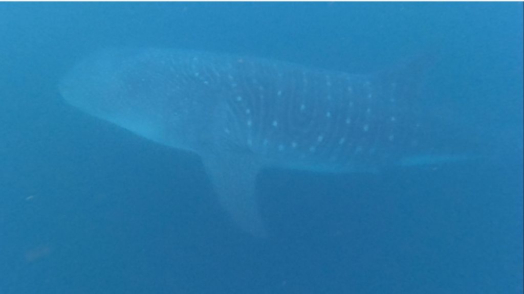 e27f5ba6-01ba-4359-a6fc-026f7e528ec3