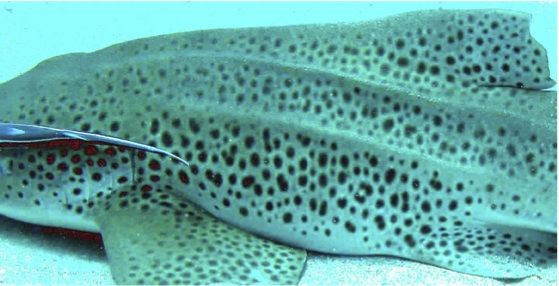 4d9b2a44-e5e0-458b-b15d-4c9417301232