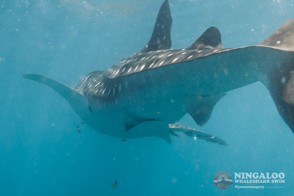 36d0a798-8c00-4f40-8089-5e0a59fa9312