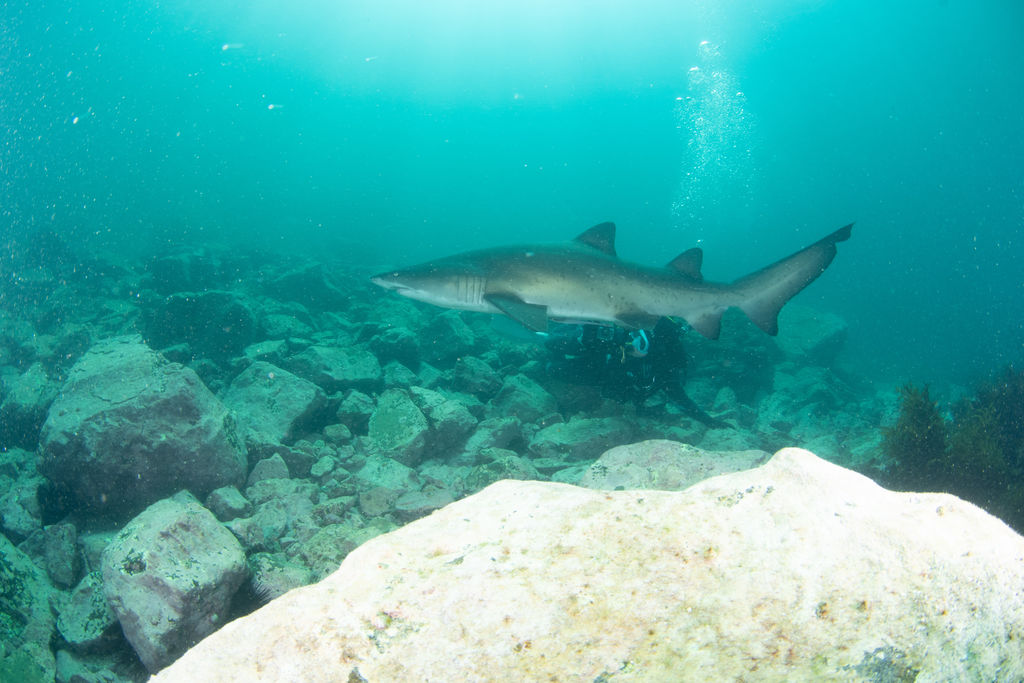 d3878503-c202-4cd0-af2f-47640f67b2aa