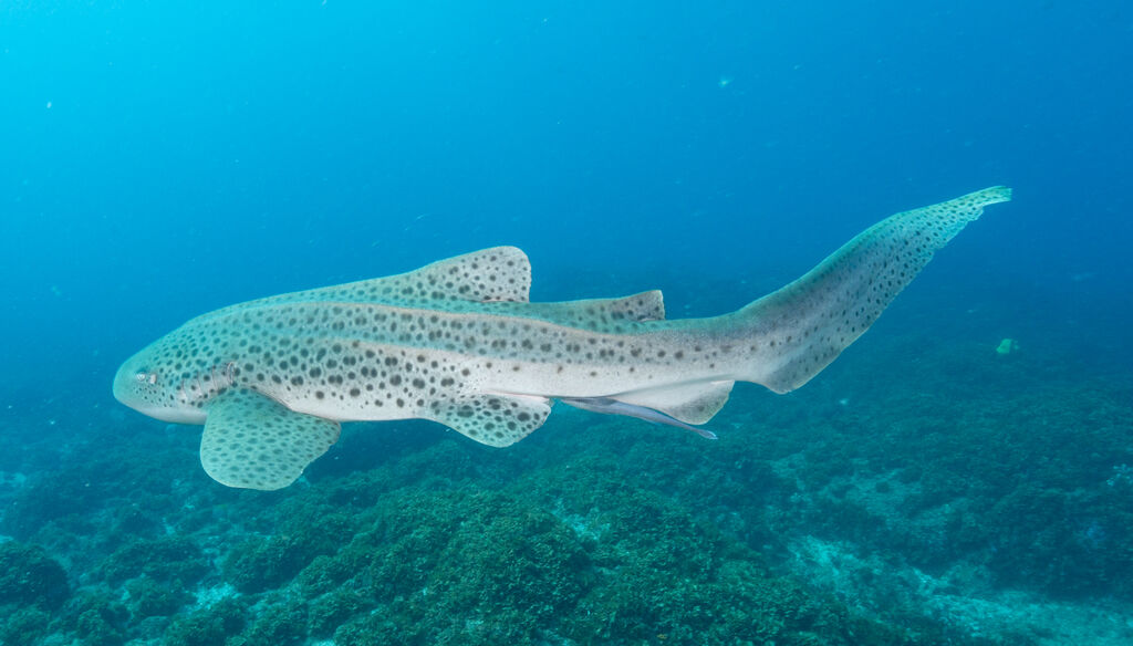 8ba107a1-8596-4d63-8f70-28f6afc50312