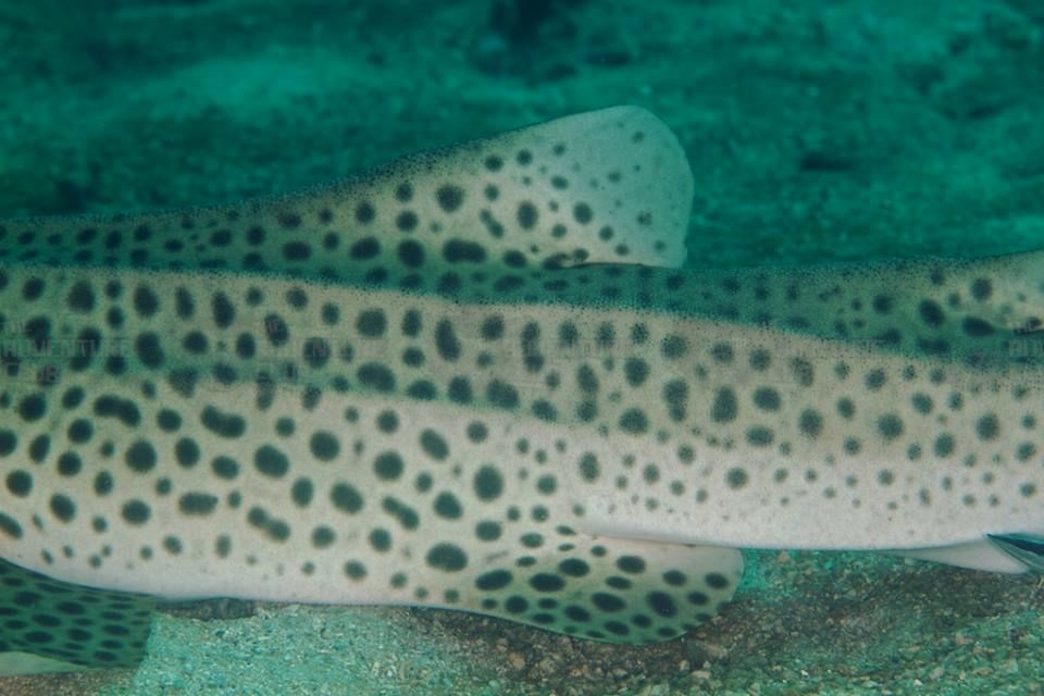 b13b3eaa-b7ac-4cb5-bb0a-807b340d6e7b