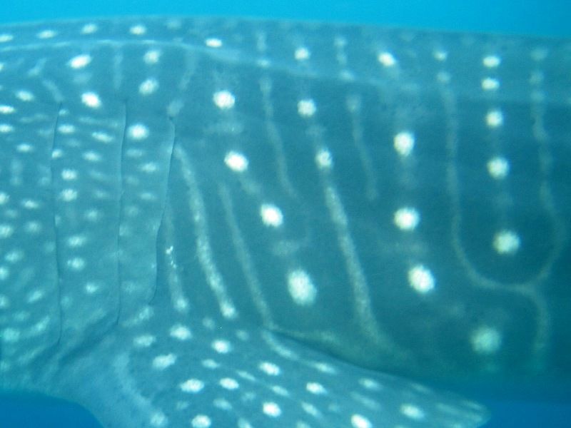 093e2b20-8dcd-484a-83af-b0e2a3e3b74d