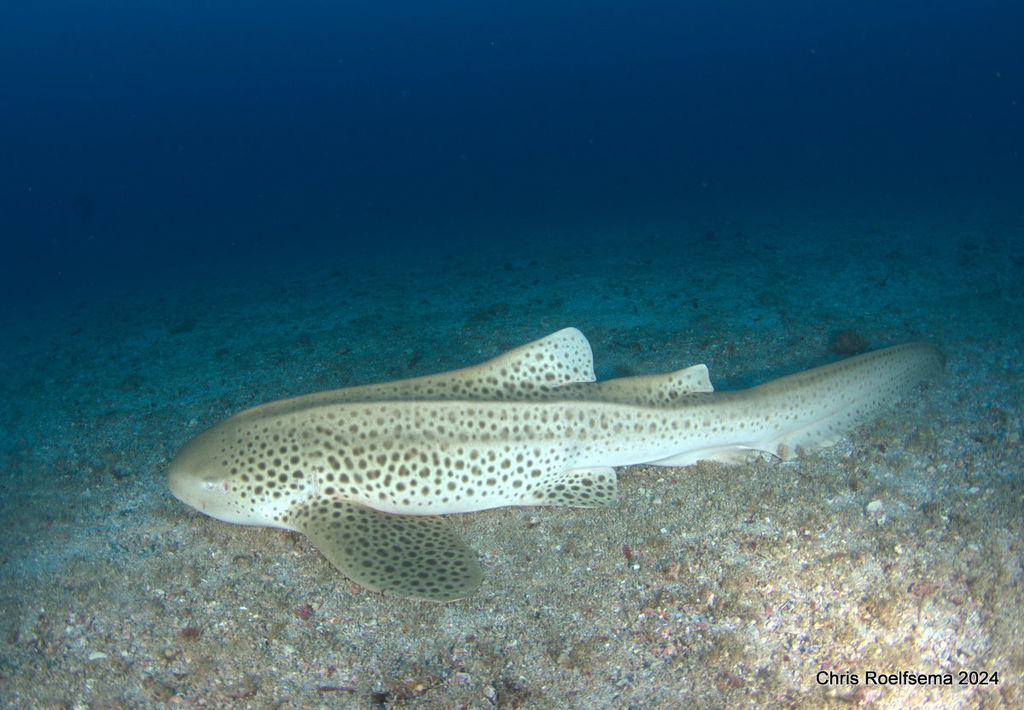 ca13dac3-babb-4a4e-9b70-5731f058892d