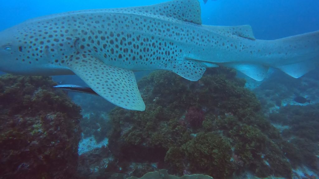 c4f39b7f-b056-431c-8f8e-b49d3ee7fb9a